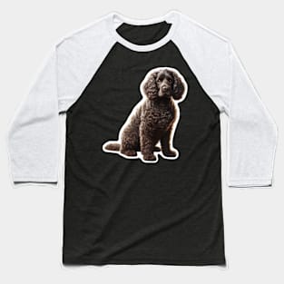 American Water Spaniel Baseball T-Shirt